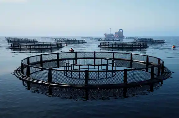 Fondo Innovazione Ismea